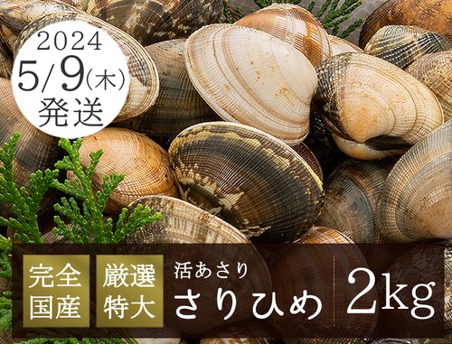 5月9日（木）発送【さりひめ】完全国産 特大活あさり2kg