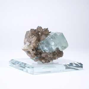 シャンファーリン産 フローライト スモーキークォーツ 共生 / 原石 標本【C_1】
