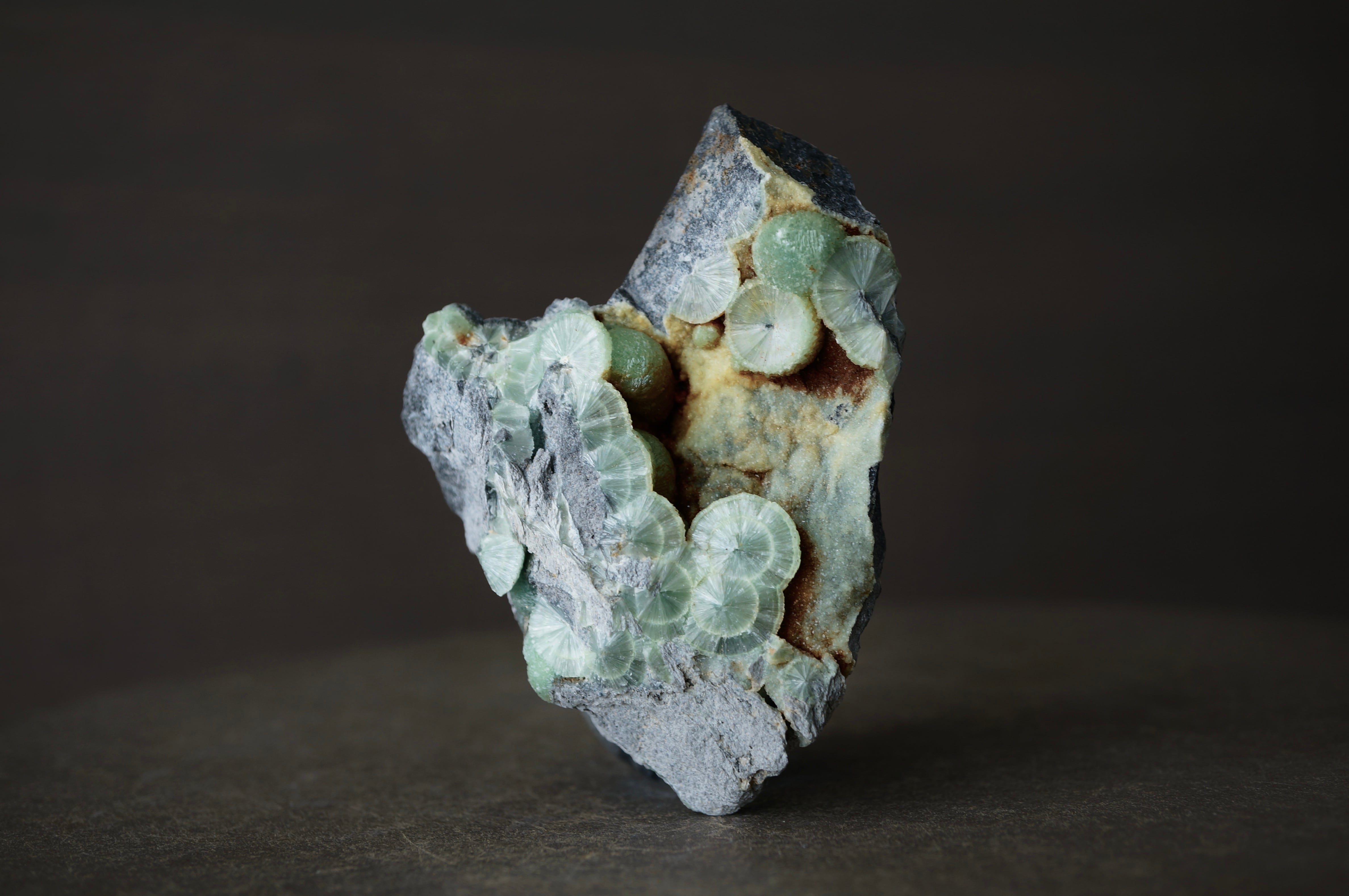 ジャワ島産ブルーペトリファイドウッド Blue Opalized Petrified Wood