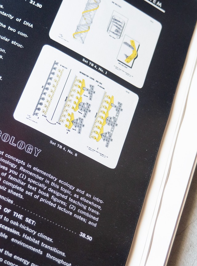 "WARD'S" 1960s  Catalog for biology book