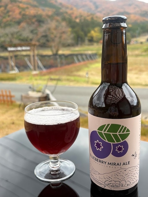 ブルーベリーミライエール６本セット