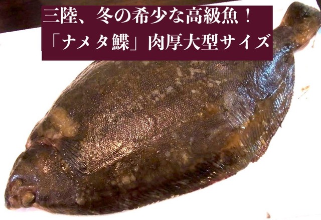 食べたい料理、魚貝の種類、人数、ご予算…お客様のご要望に板前店長がメールでやりとりしながら応える【フルオーダーセット】1万円から！