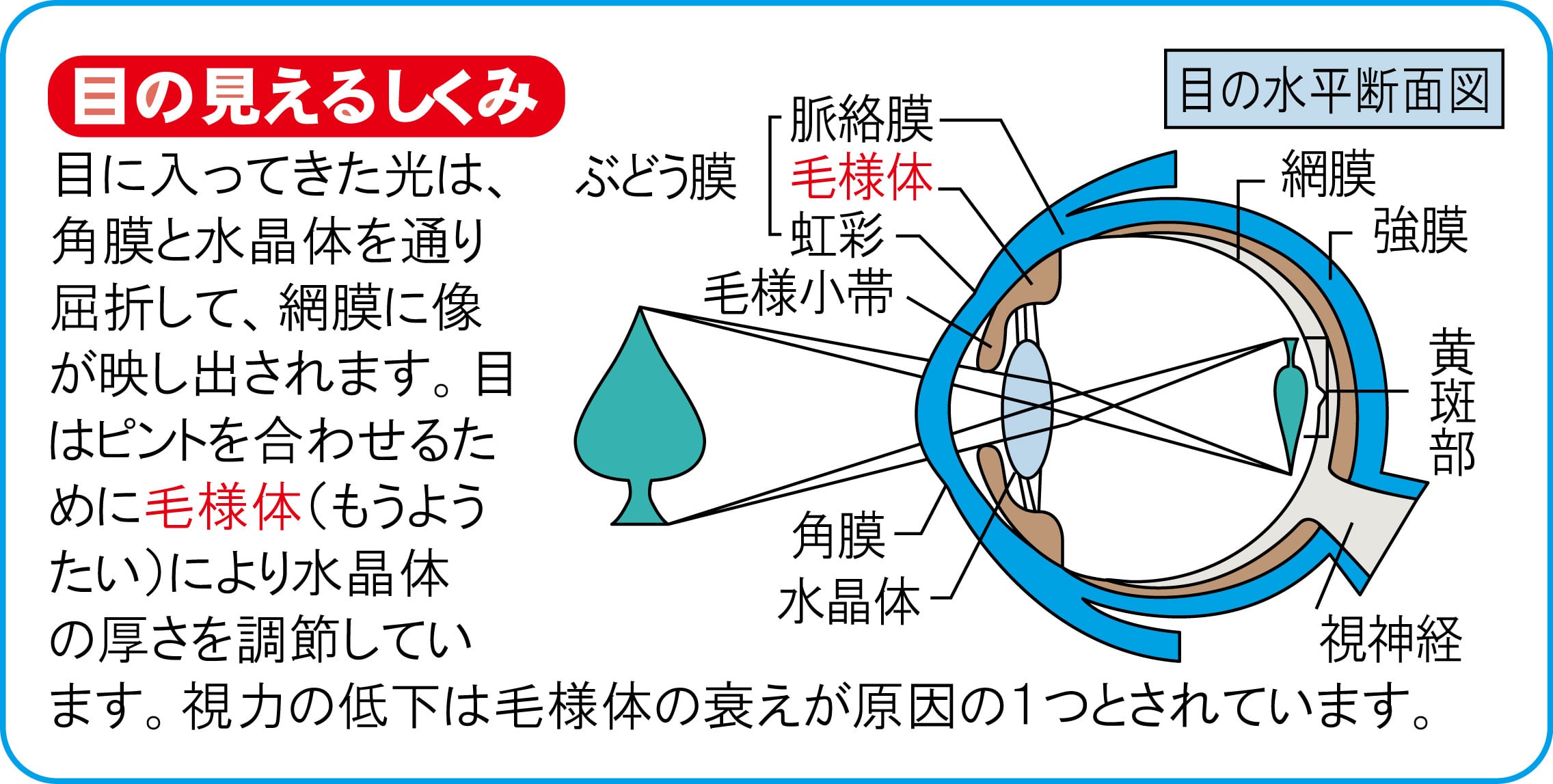 視力訓練器エコーアイトレマシン SP-7H | shinwaseikou