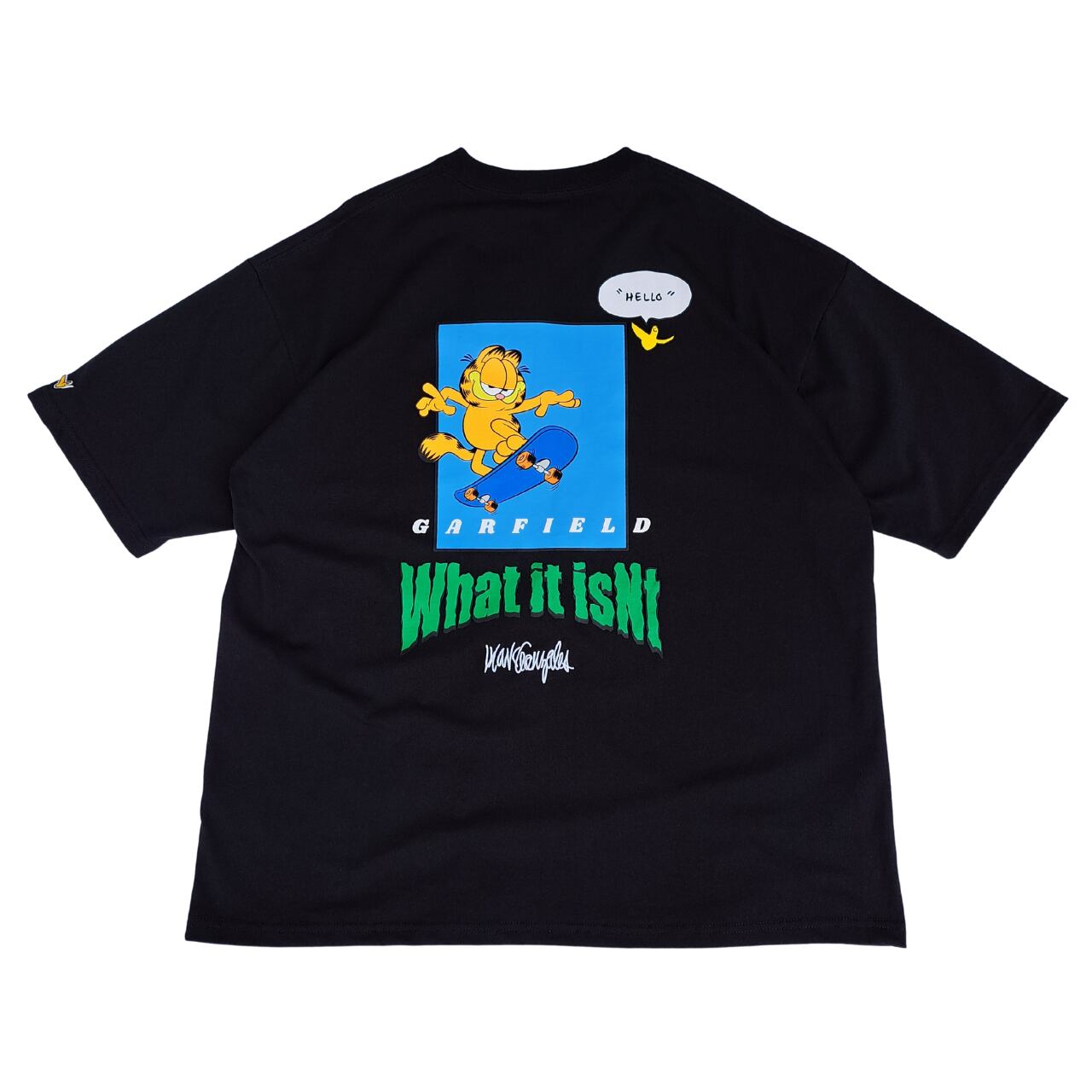 WHAT IT ISNT×GARFIELD SKATER BIG Tシャツ(black)