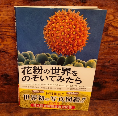 花粉の世界をのぞいてみたら～驚きのミクロの構造と生態の不思議～