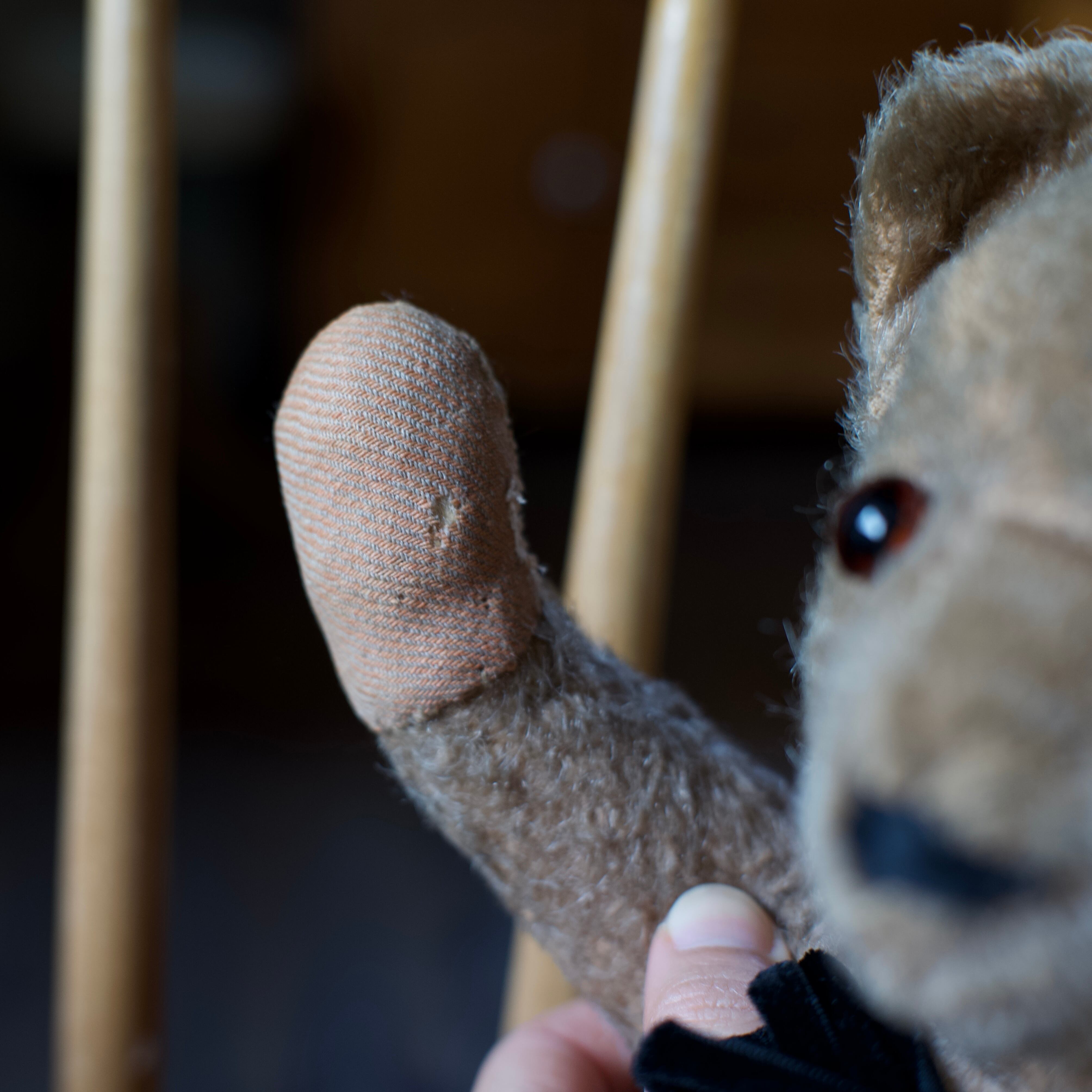 Teddy Bear / テディベア〈 ぬいぐるみ・くま・オブジェ Teddy Bear / テディベア〈 ぬいぐるみ・くま・オブジェ