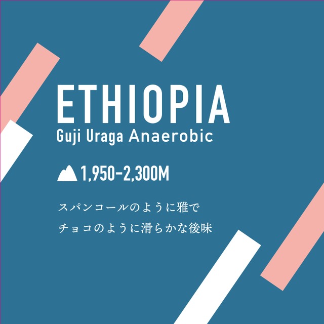 ETHIOPIA Guji Uraga Anaerobic