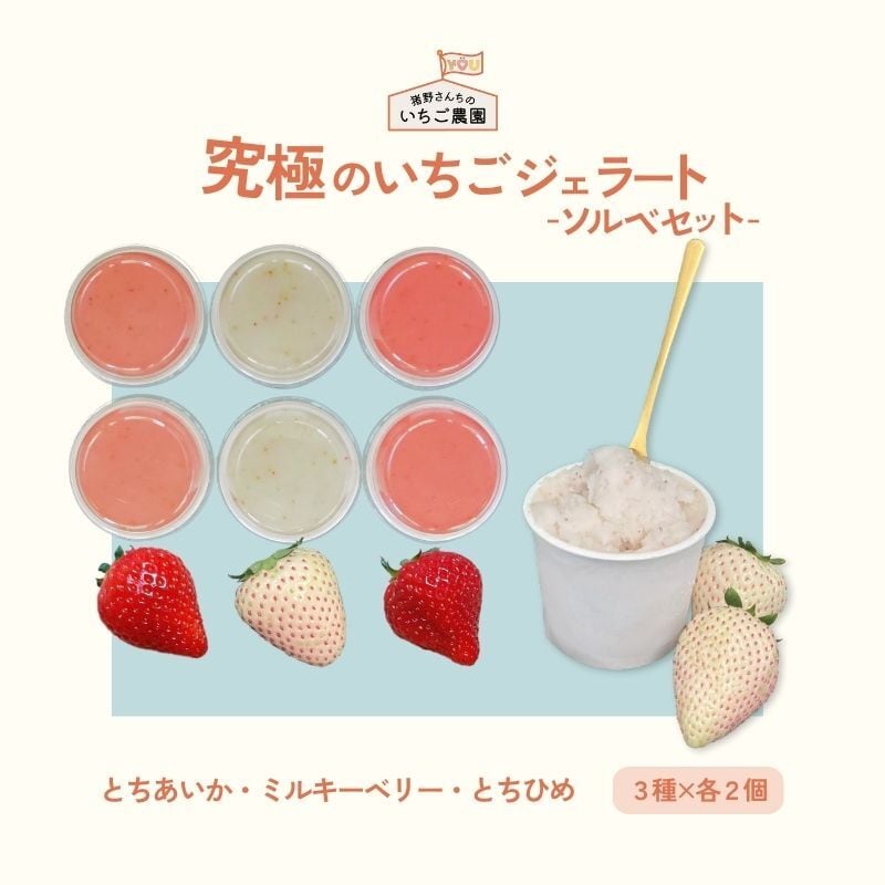 究極のいちごジェラート 3種のソルベ6個セット | 猪野さんちのいちご
