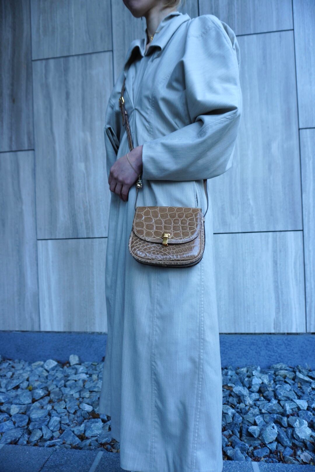 日本直送 名牌中古包 】CELINE セリーヌ ショルダーバッグ ブラウン