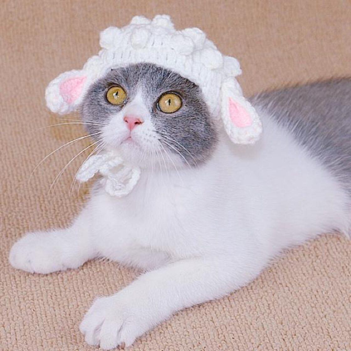 即納✨S M L 手編みピンク♥ペット用うさぎのニット帽子♥うさ耳 猫用 