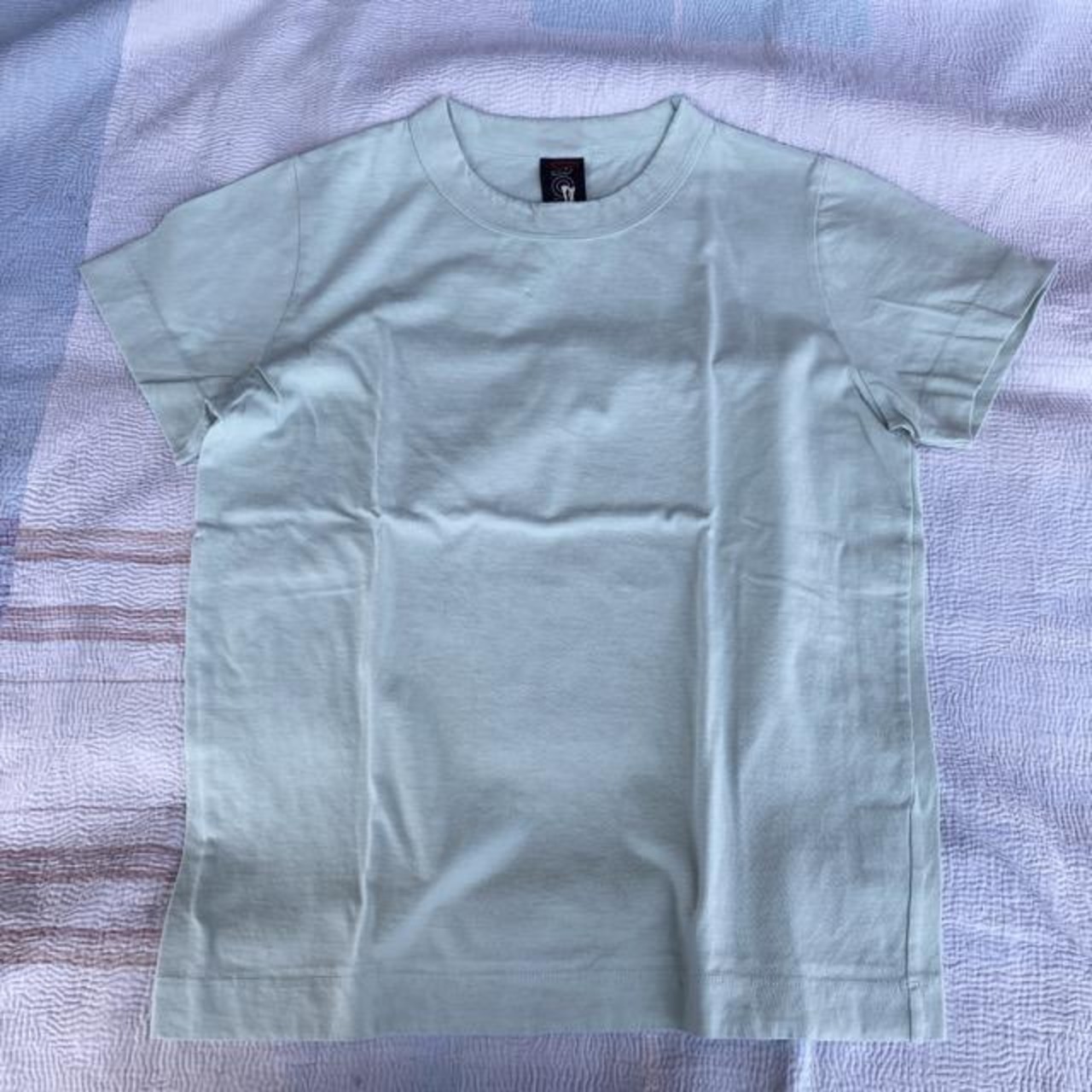 homspun (ホームスパン) 天竺半袖Tシャツ ライトセージ 【2023新作】