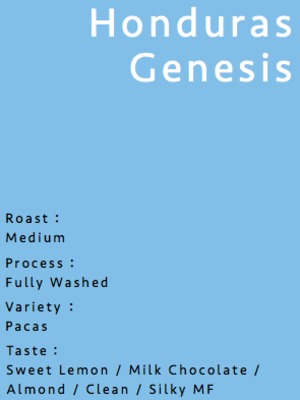 Honduras Genesis（ホンジュラス ヘネシス）浅煎り 100g