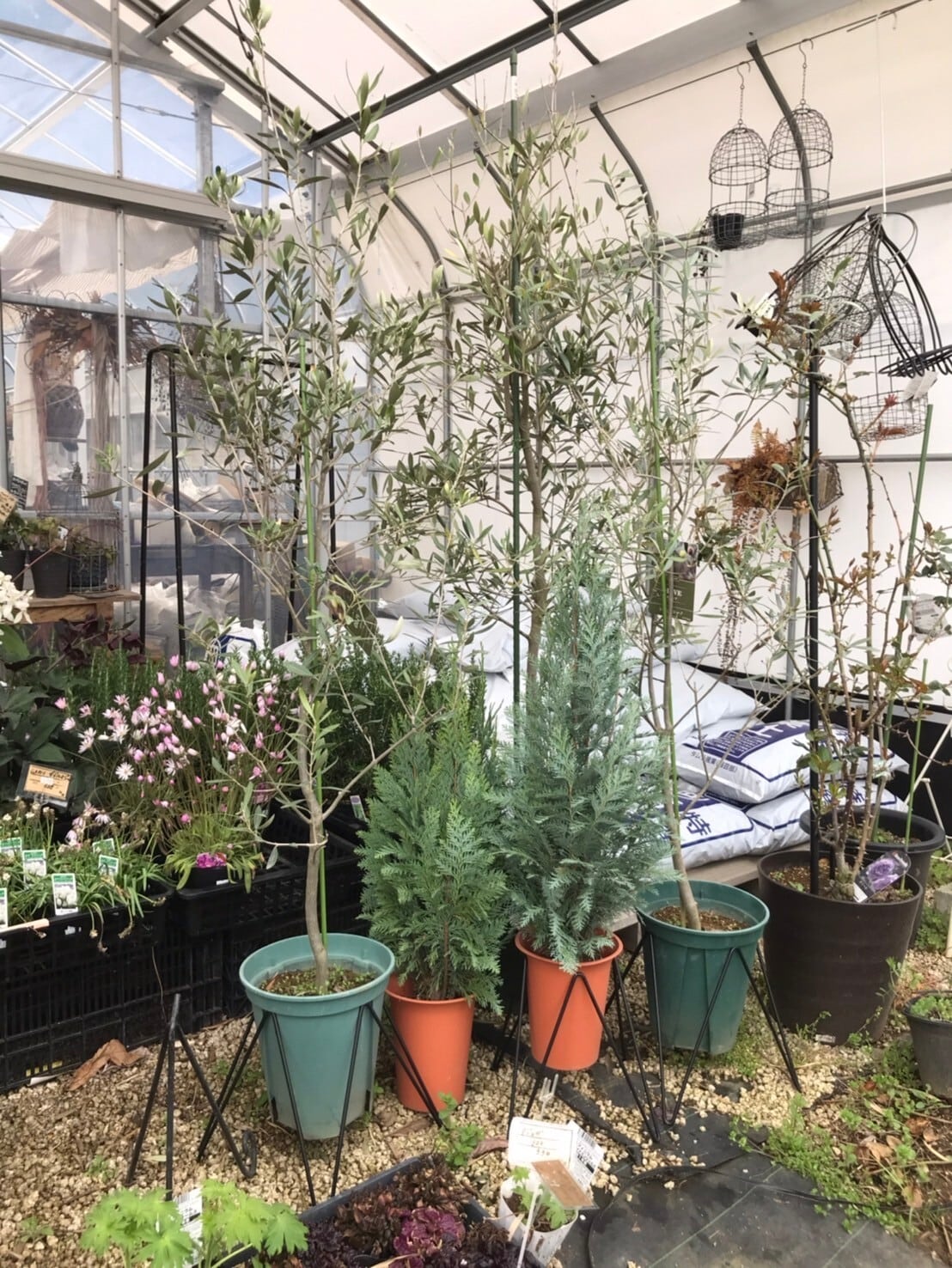 ◇MSS-8 マジックスクエアスタンド | bellsmoreのひとはこ。