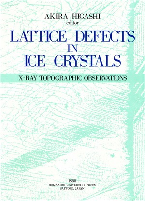 Lattice Defects in Ice Crystals