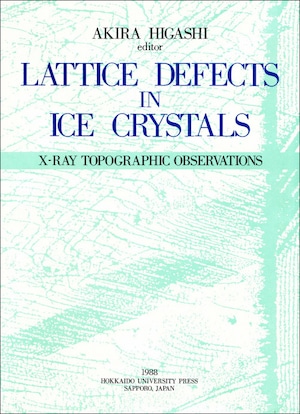 Lattice Defects in Ice Crystals