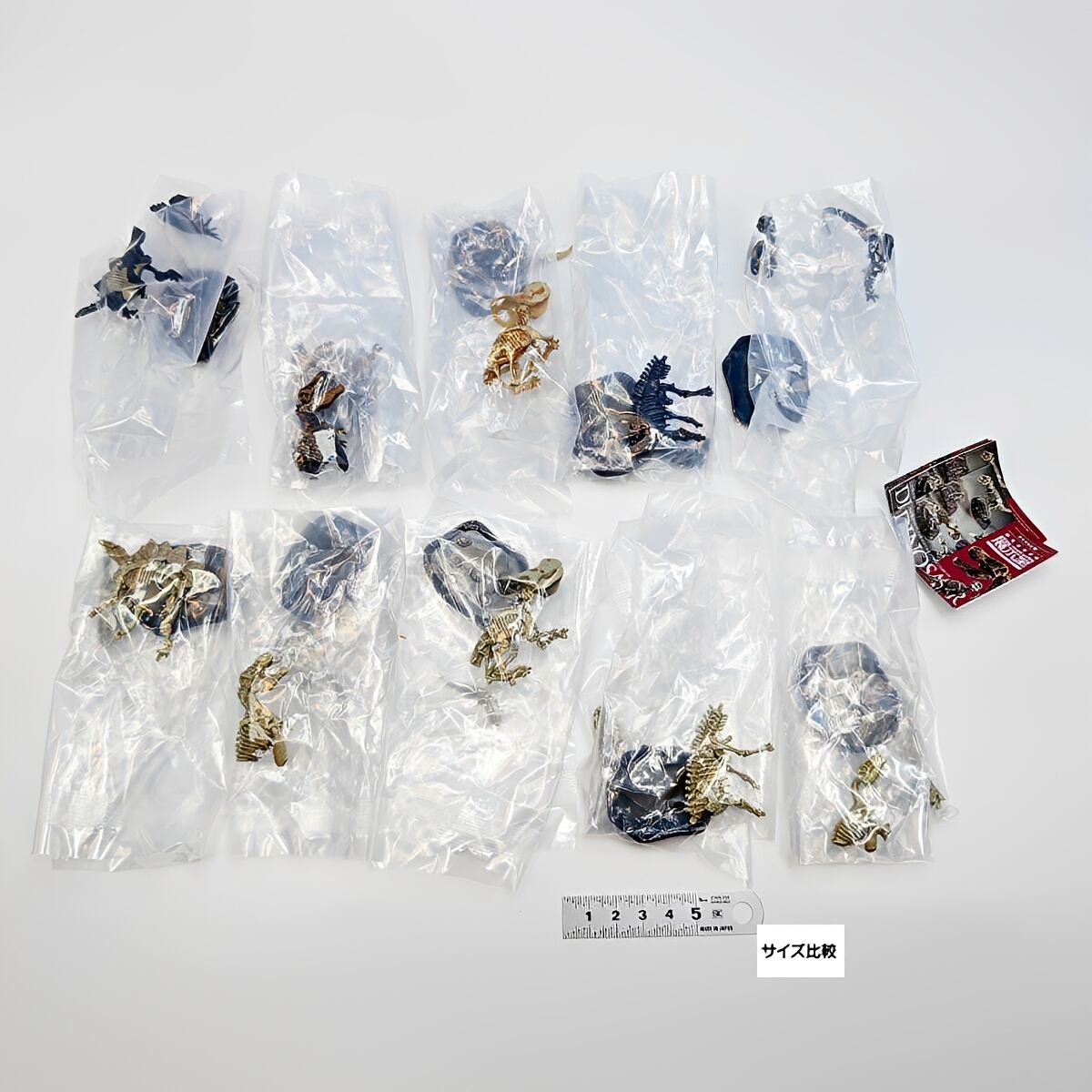 【新品 カード付】骨骨 GuGu ぬいぐるみ 6種類セット フルコンプ】 カプセルQ 恐竜発掘記6 恐竜全身骨格展示室 【全10種