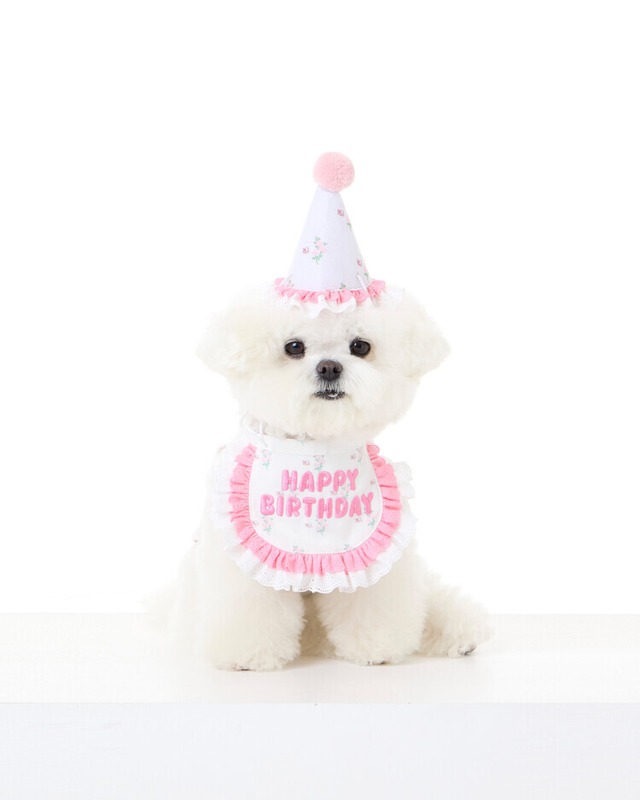 〈予約アイテム〉pebs / PEBBLES × BOCBOK / B-DAY PARTY KIT（REVERSIBLE）