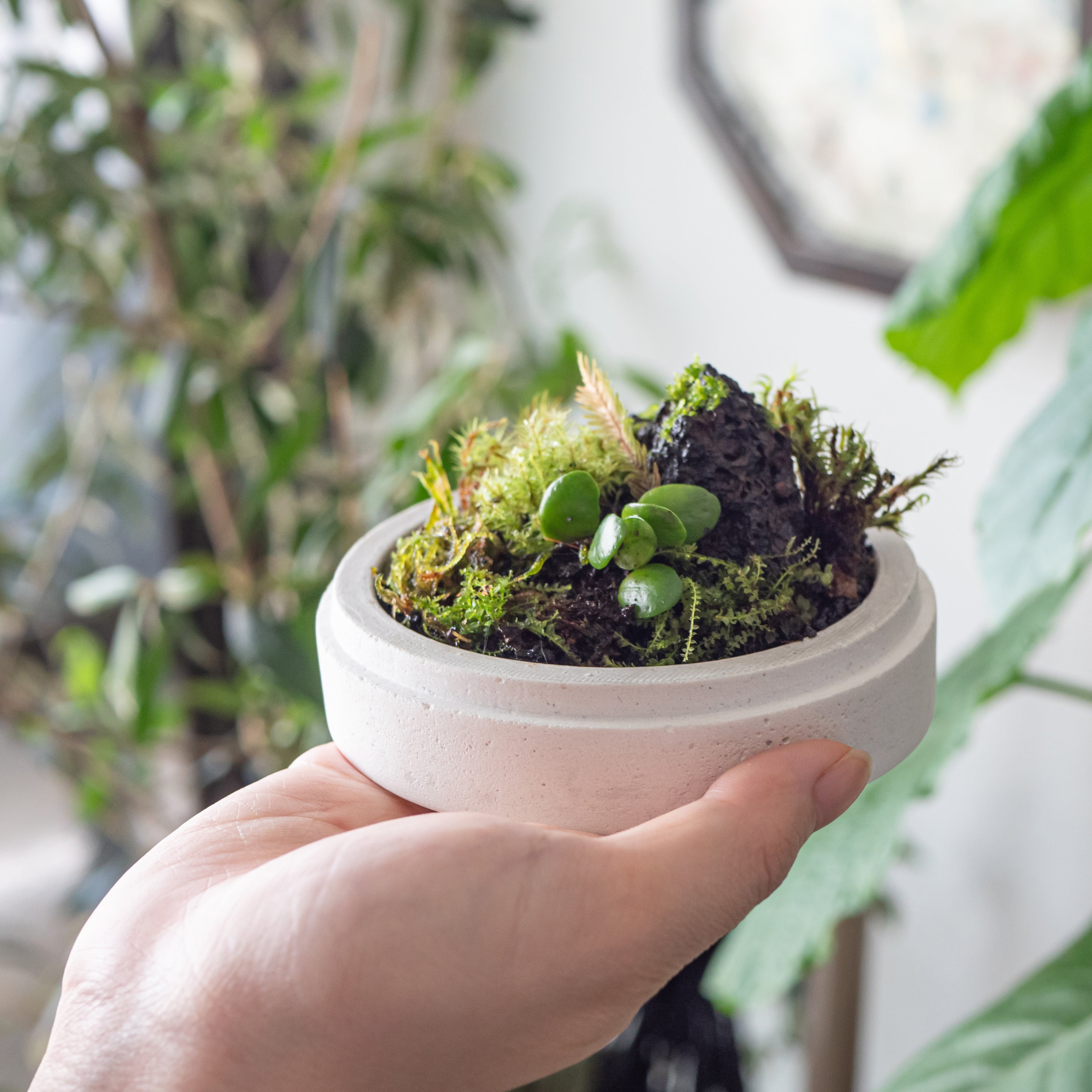 93722a708ea0b7c6f56a17f829c8db