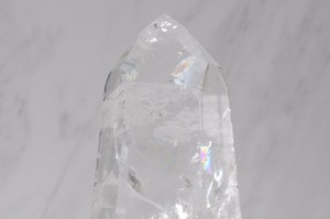 夢を叶えるりんごの樹55