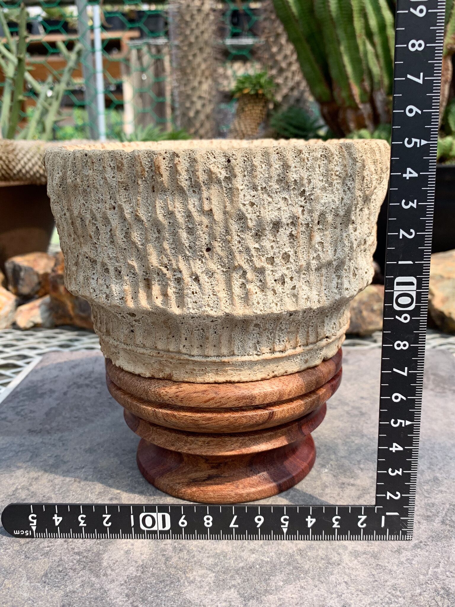 植物鉢 | CACTUS330