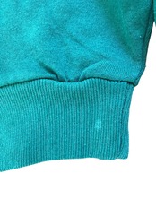 90's SANTEE MADE IN USA トゥィーティー スウェット