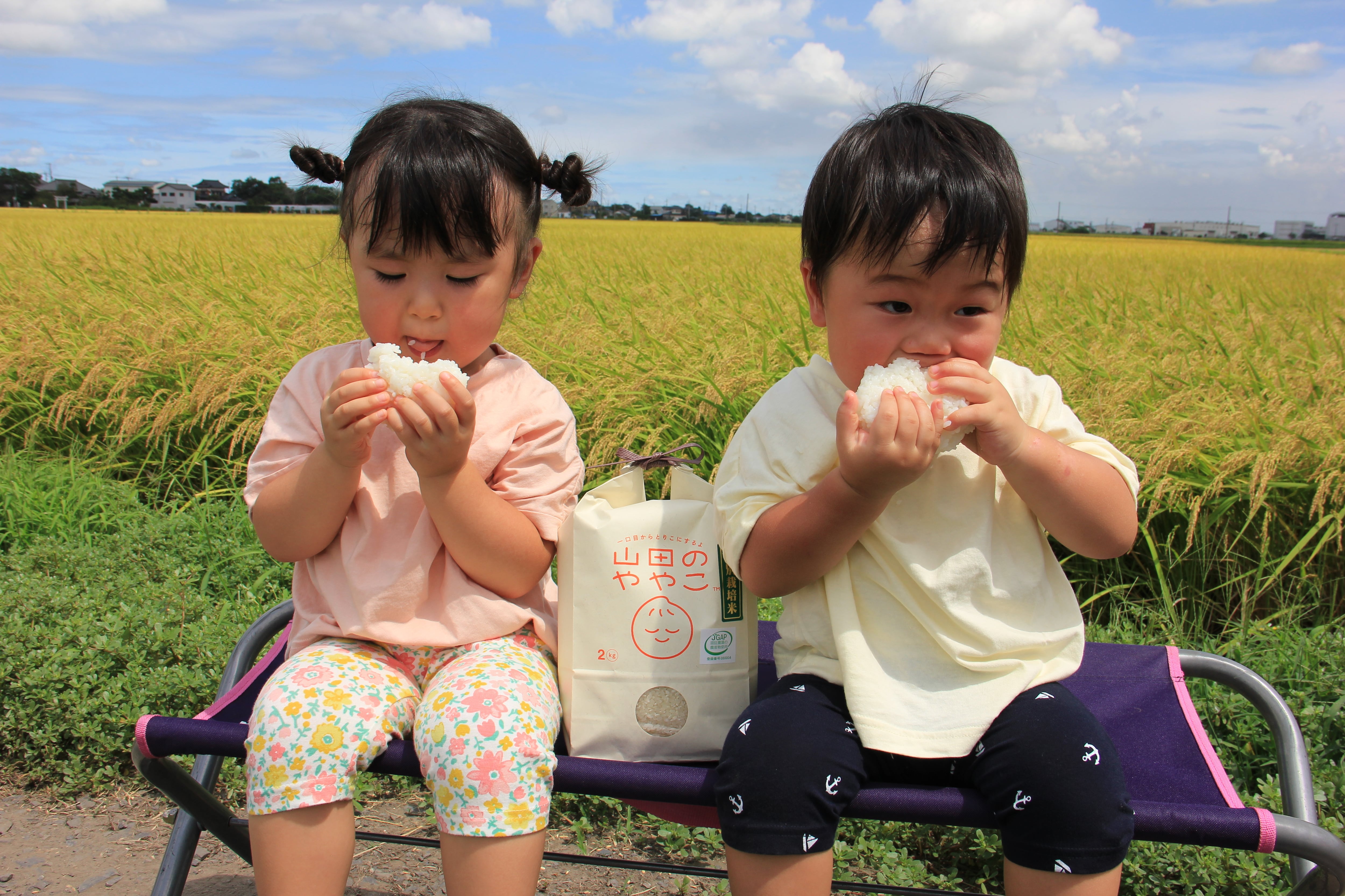 山田のややこセット【新米10kg@5kg×2】特別栽培米 | ゆうゆう農園