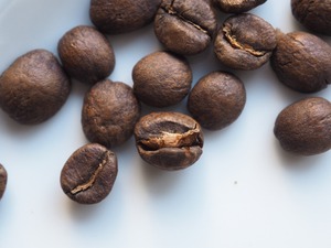 costa rica (中煎り) 150g