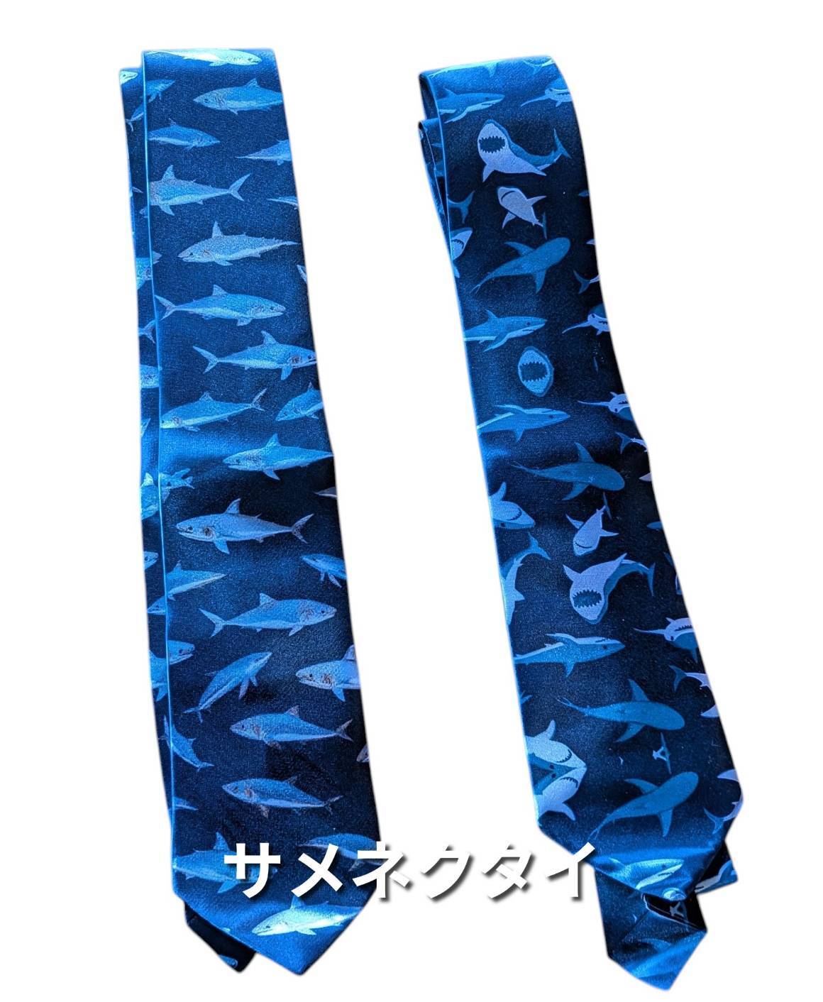 その他 | 気仙沼 シャークス