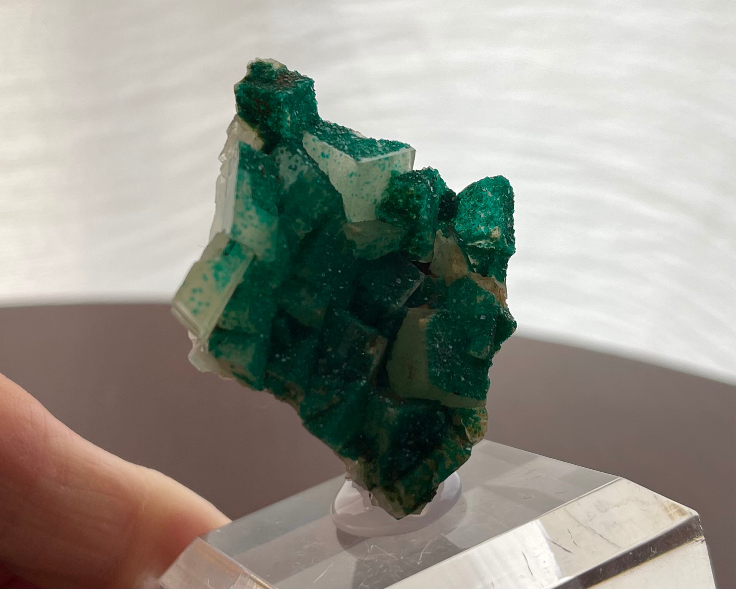 ダイオプテーズ / カルサイト【Dioptase on Calcite】ナミビア産