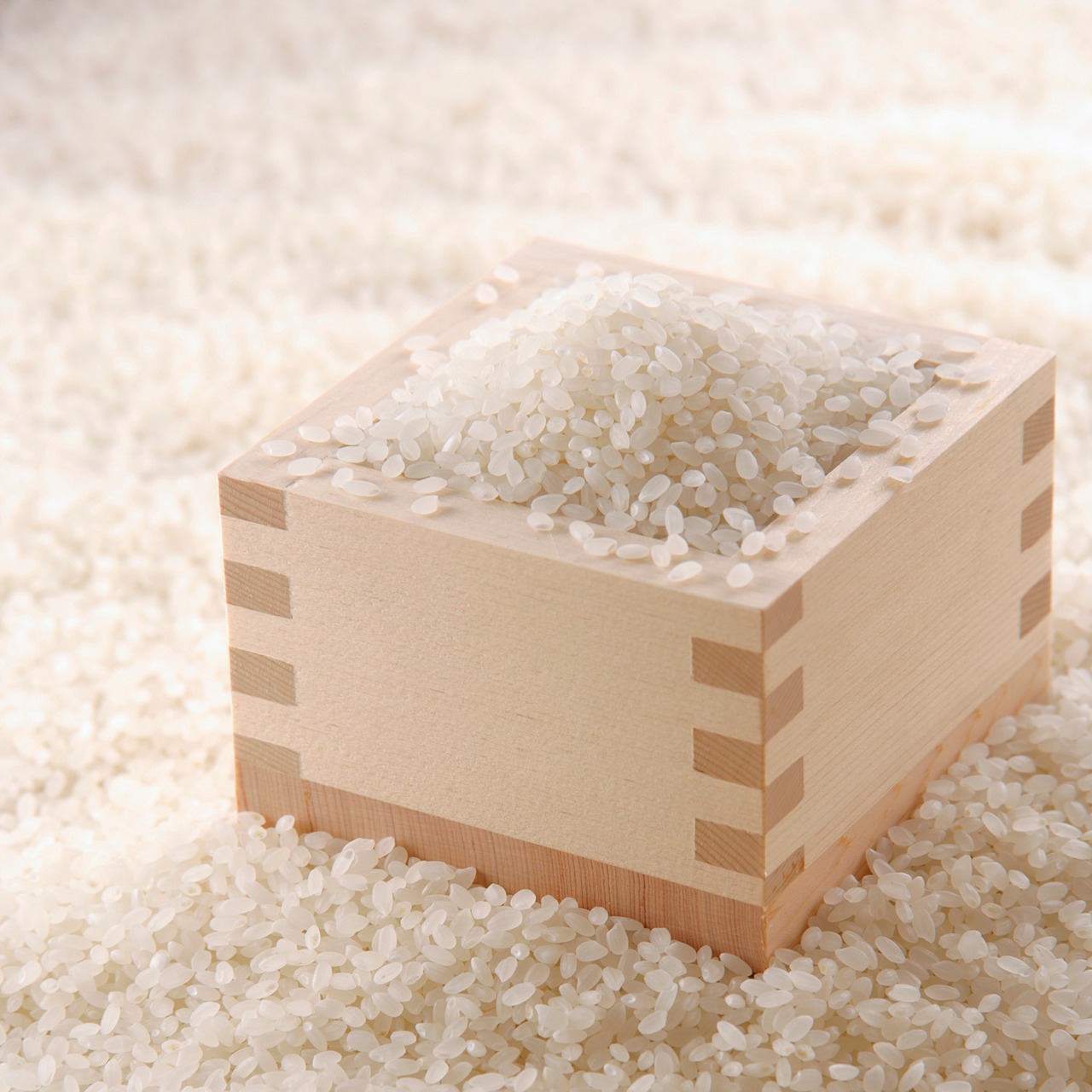 《真空パック》キューブタイプ　300g（2合）×12個（7年産）