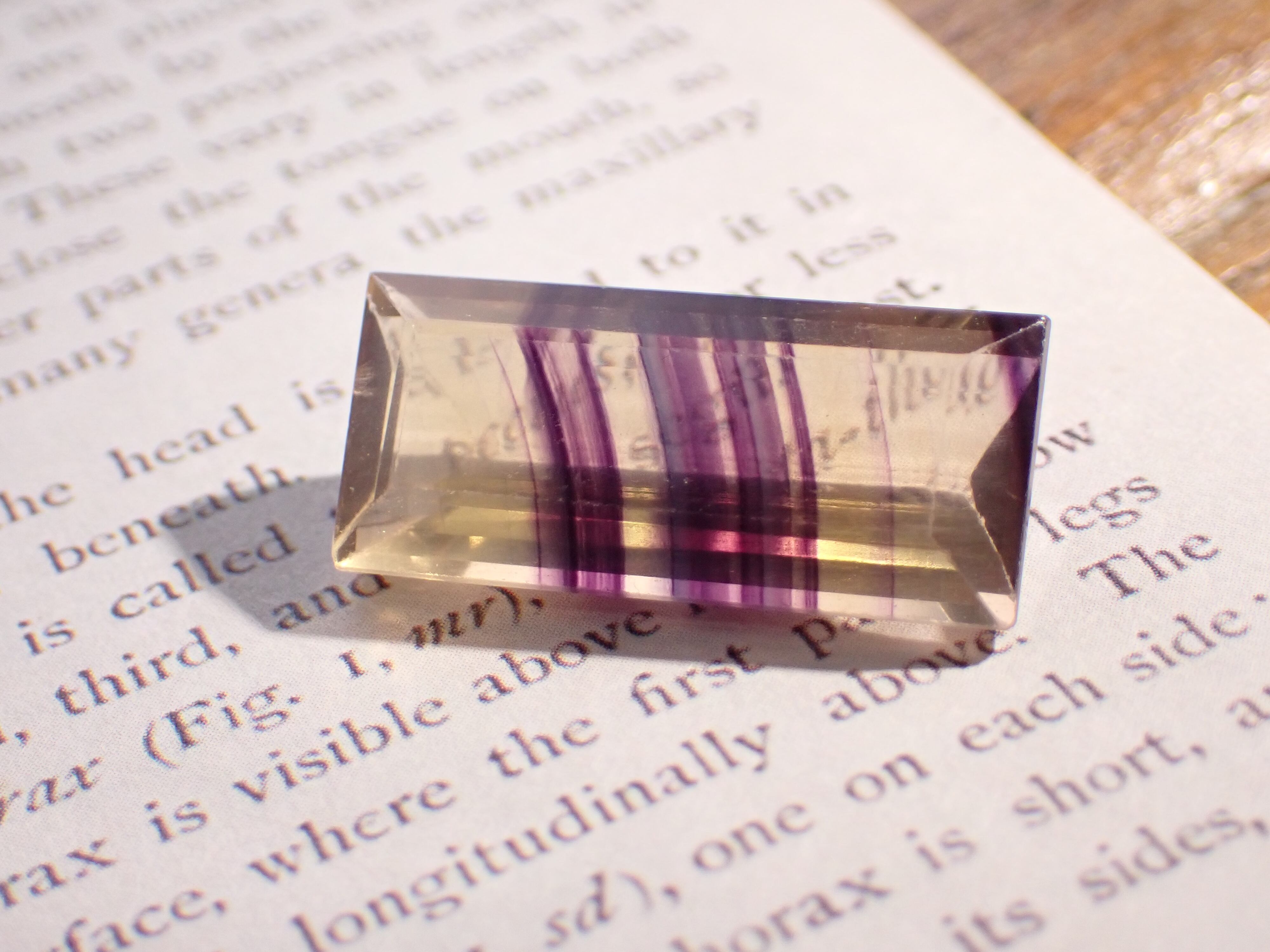 バイカラーフローライト 13.7ct [A2-54-3176F20] | differencee 