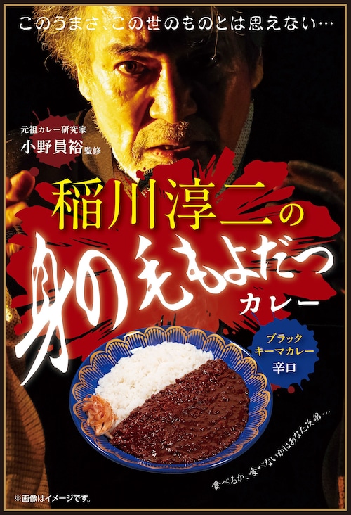 【送料込 30個入】稲川淳二の身の毛もよだつカレー