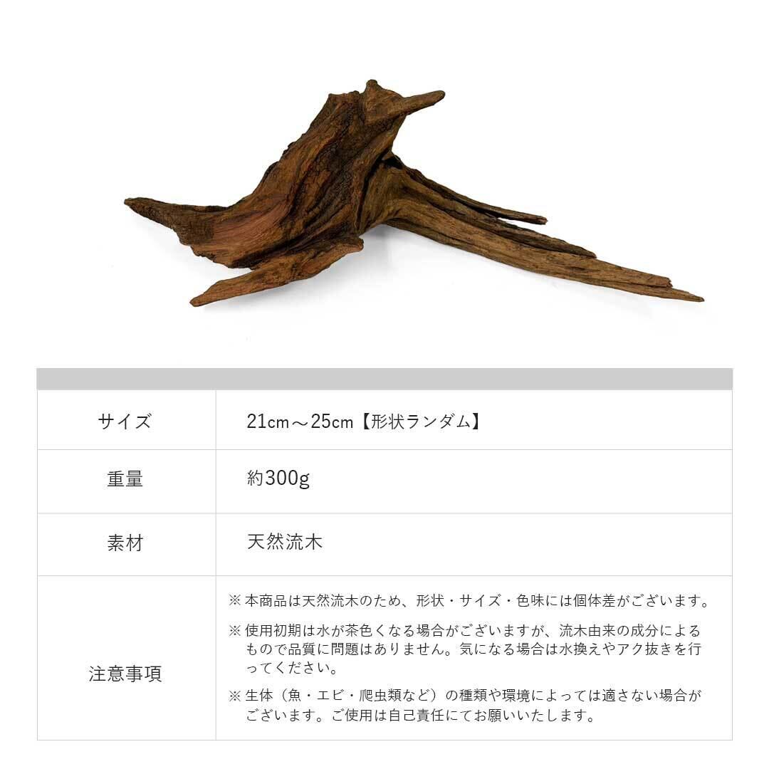 流木 淡水 大きめ 自然な形状 洗浄済み 【公式通販】