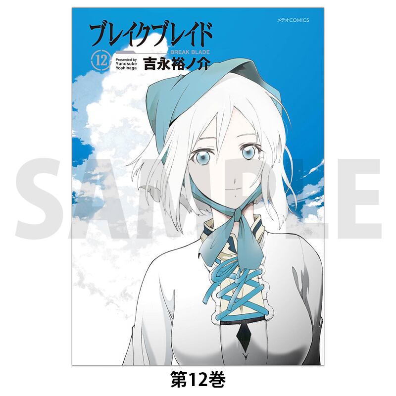 ブレイクブレイド 第12巻 | きらポ公式ショップ