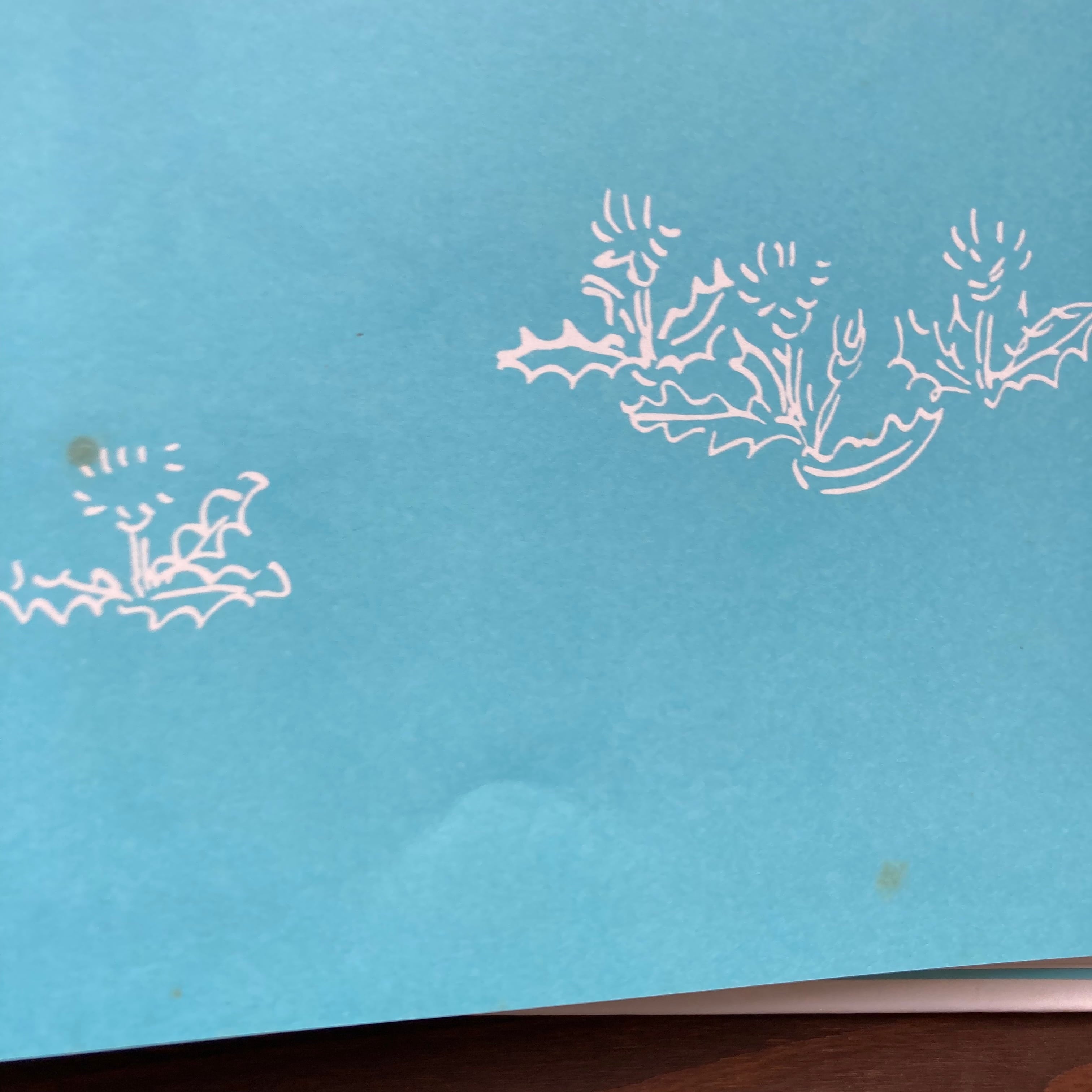 そらいろのたね&The Sky Blue Seed 2冊セット