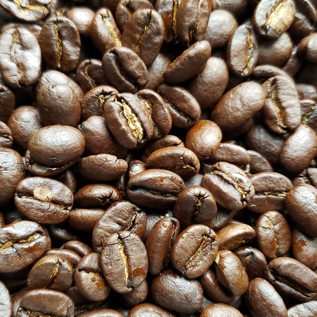自家焙煎コーヒー豆「タンザニア　中深煎り（キゴマ キボー ディープブルーAA）」100g