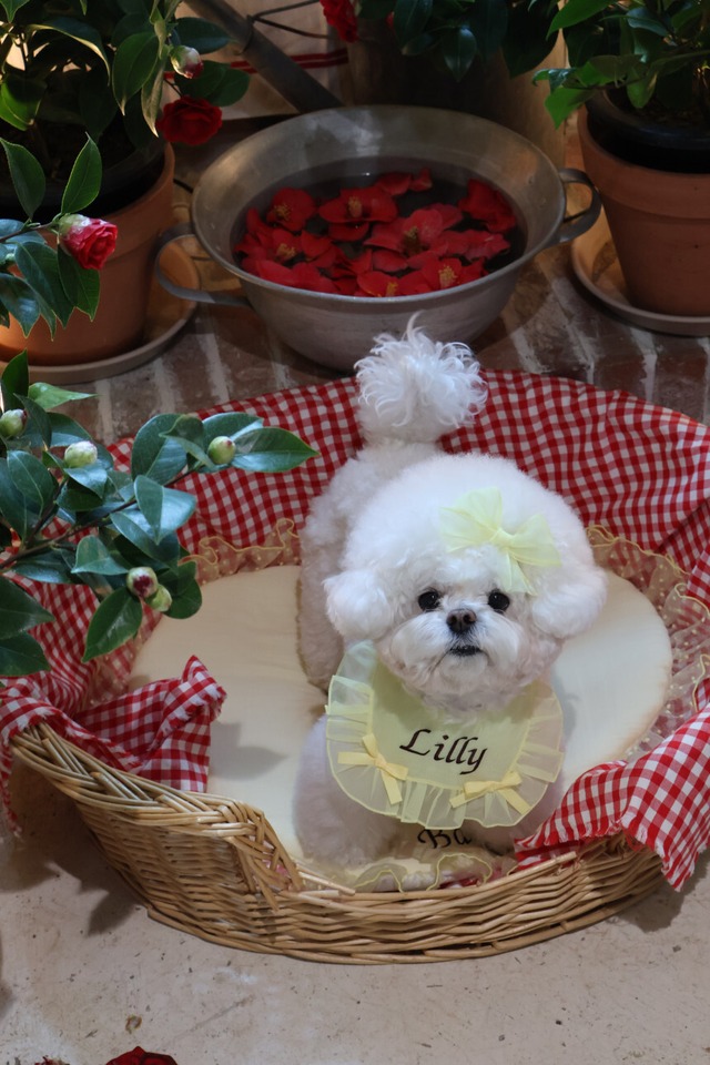 受注制作【settusettu】heart mat  /  5color〔お名前刺繍〕