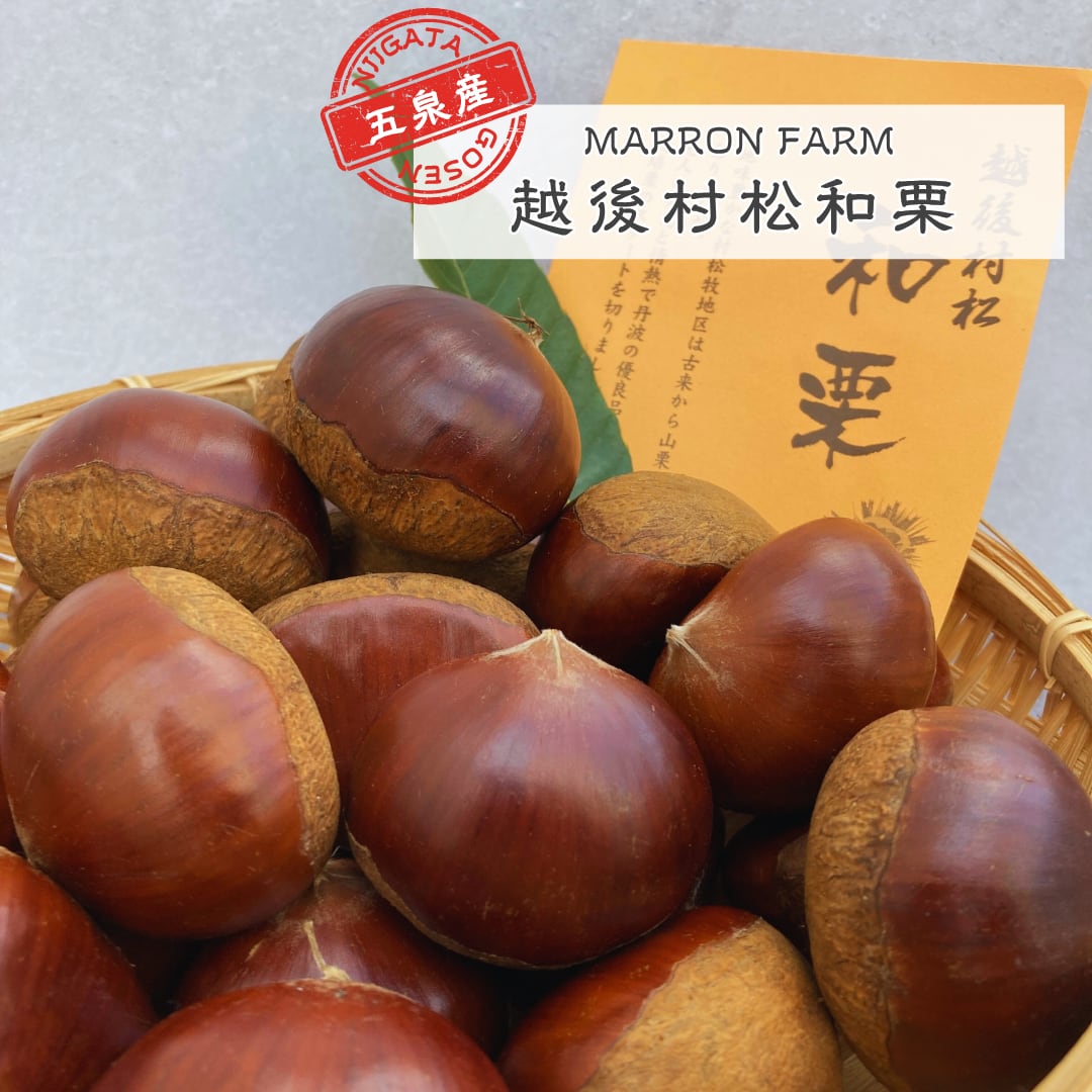 9396cb950521f2ab19c6cb1c708a19