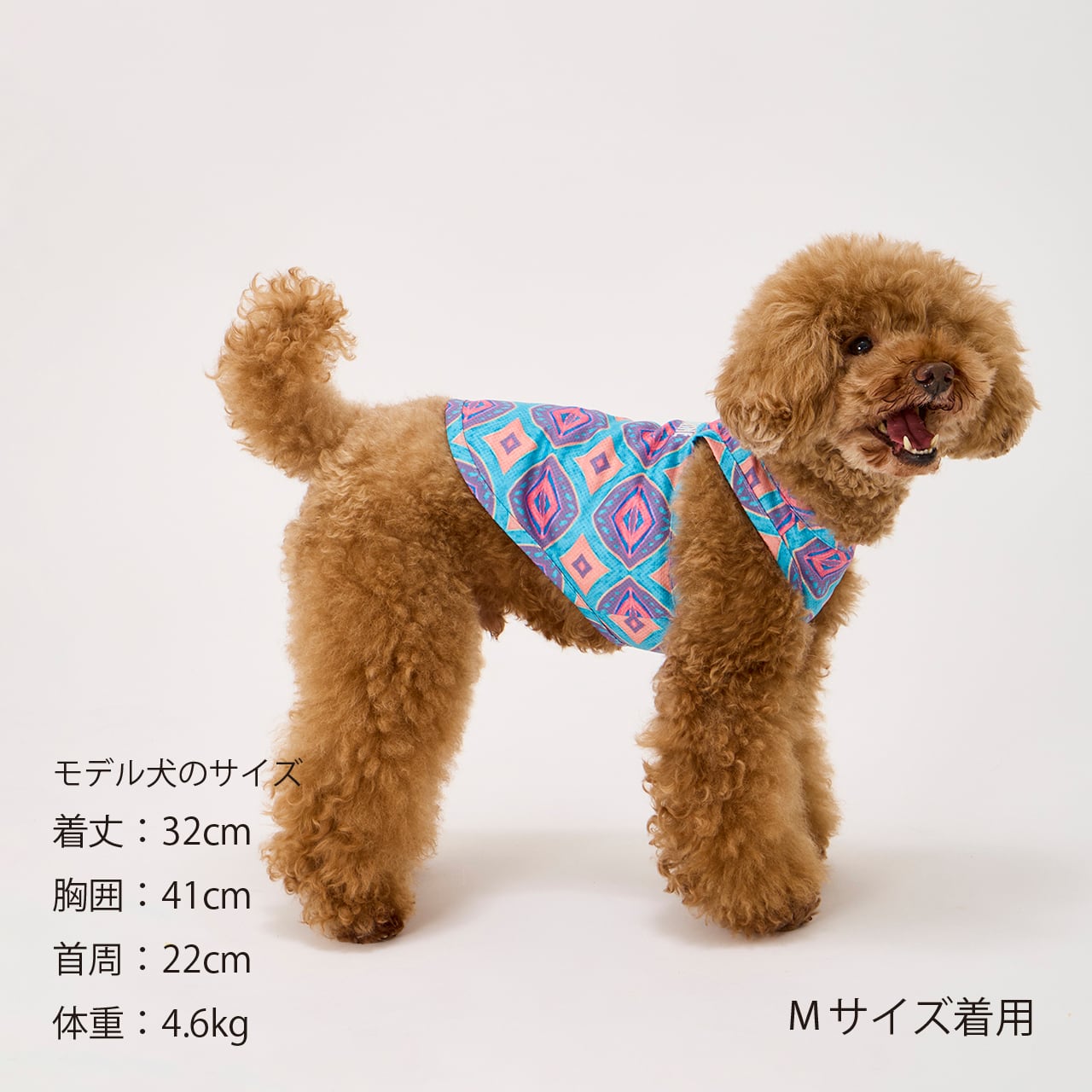 CCL COOLING TANK（M.MD.L） CCLクーリングタンク | MANDARINE