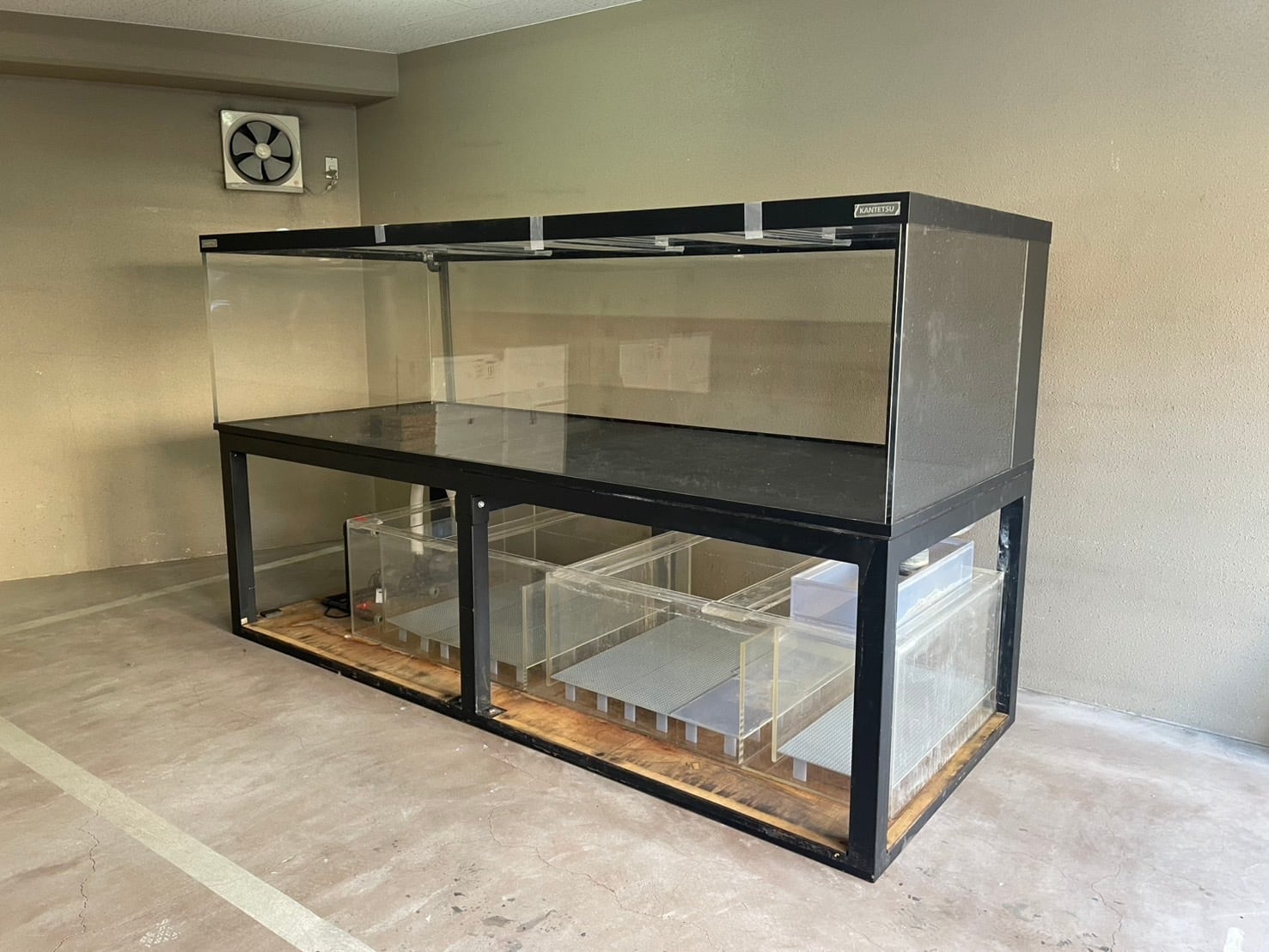 熱帯魚用品　器具　生体　売ります。 新入荷 | アクアショップ ビリーケン オンラインストア