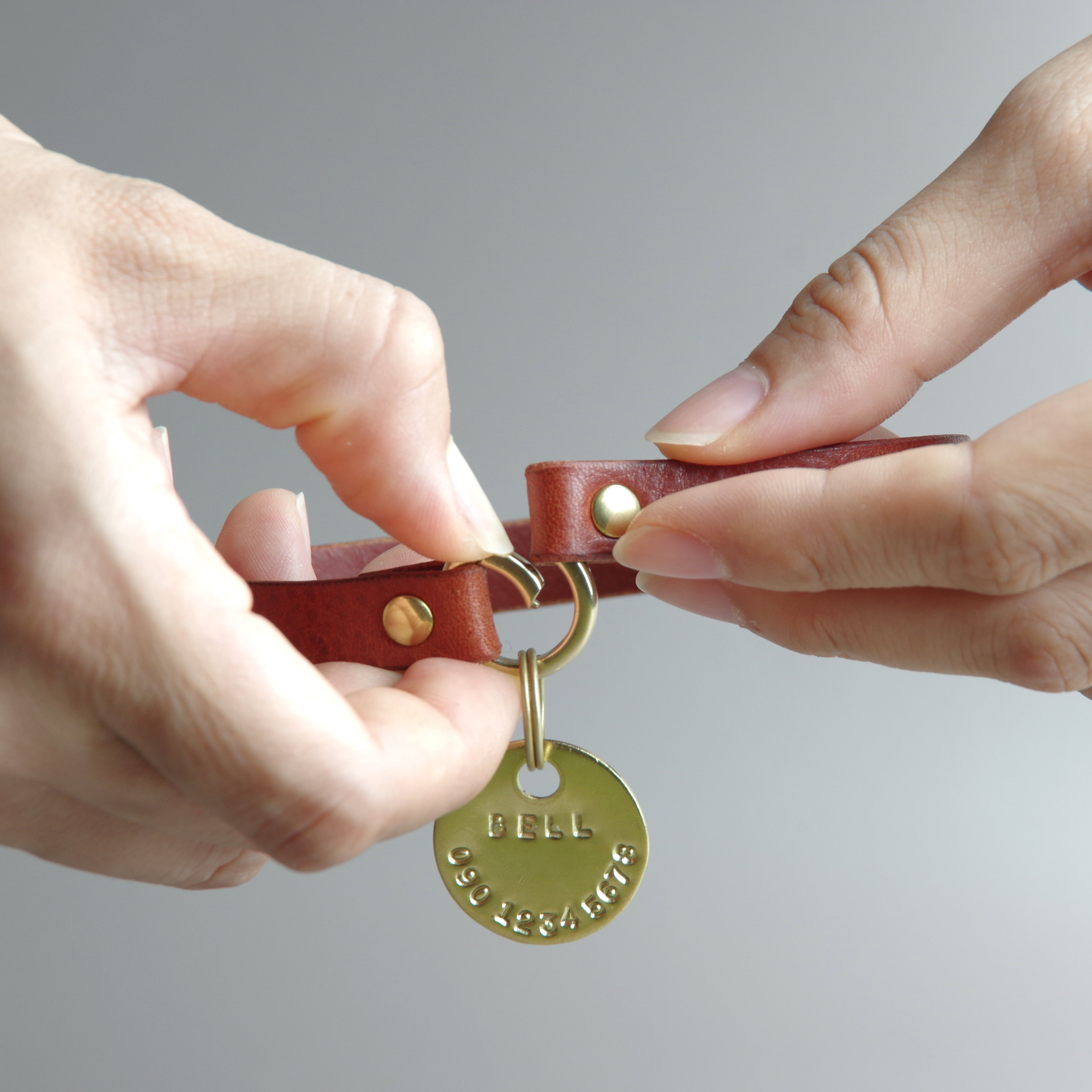 革と真鍮のネームチョーカー | 革と真鍮 犬の首輪の専門店 【くすのき