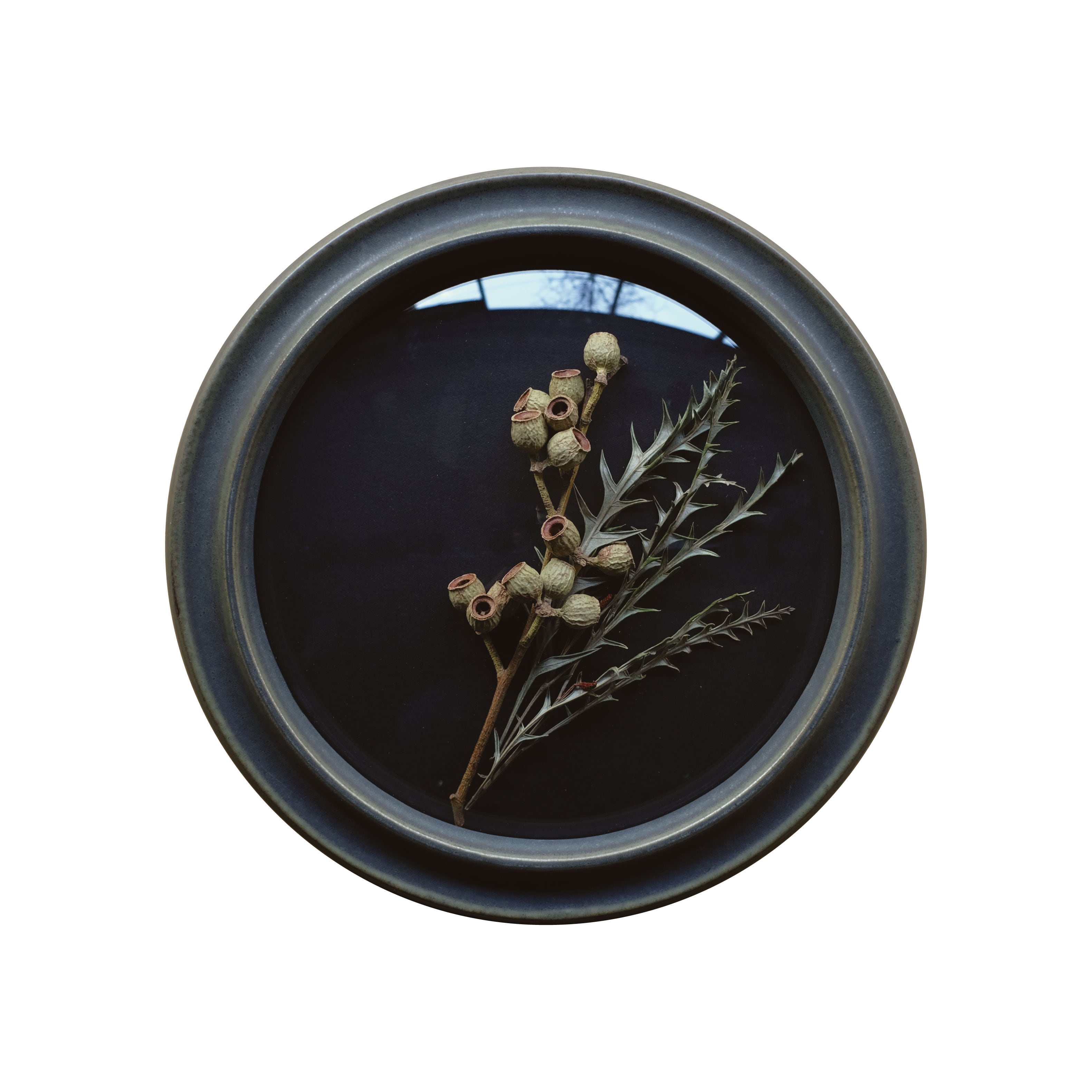フラワー・リース AS POTTERY / Convex Glass Case (L) Convex Glass Case DF (L) | WEST VILLAGE TOKYO