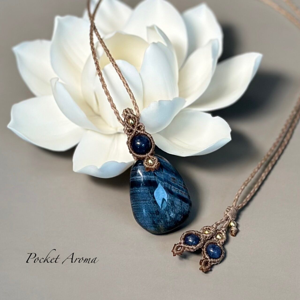 ヤエヤマミナミイシガメチョコQ