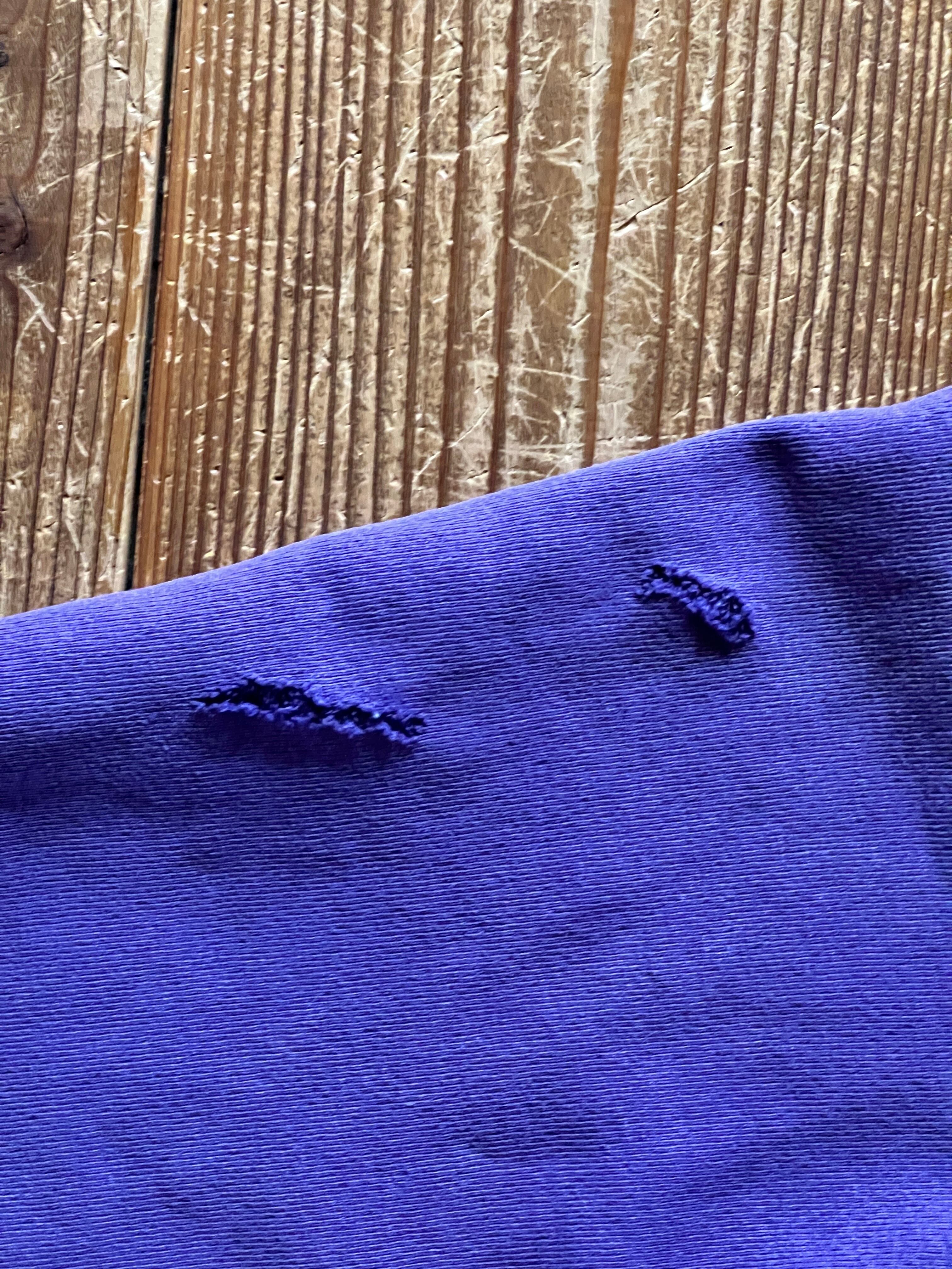 90's 刺繍タグ チャンピオンRW 無地 グレープ 表記(XL) USA製