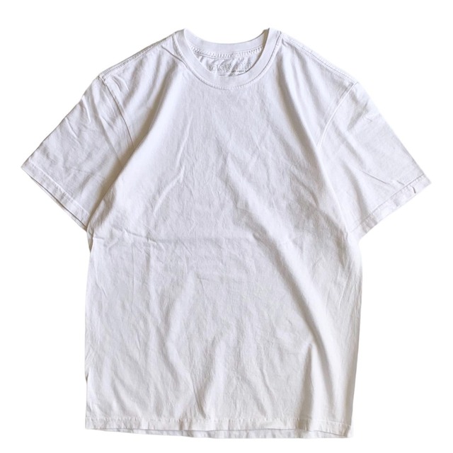 patagonia t-shirt