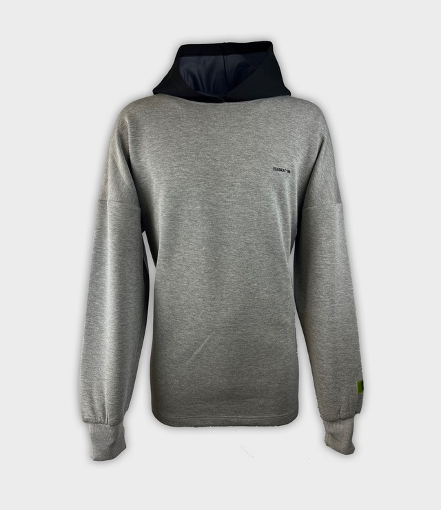 long sleeve hoodie (gray/fw22)