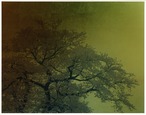 藤田はるか 写真集"Torikumo"【特装版】オリジナルプリント(美濃和紙)1点付き no.5 thumbnail 1
