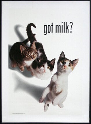 vintage 90s got milk? ビンテージTシャツ 海外 USA