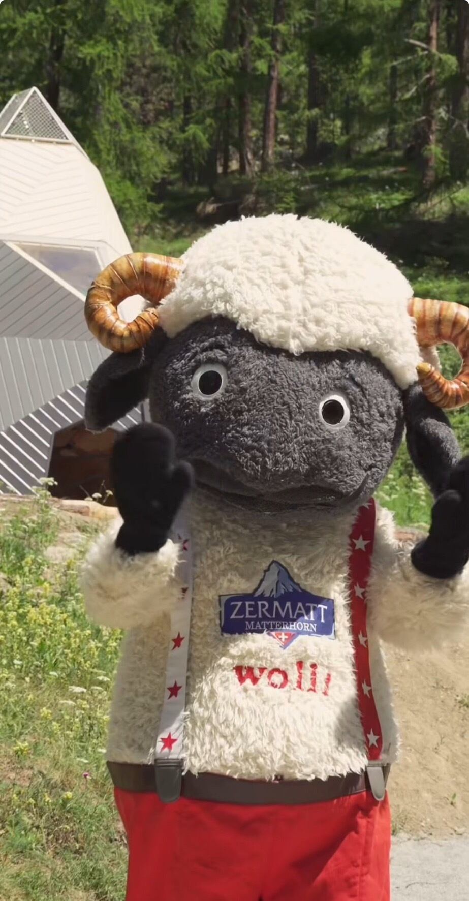 予約〉イゲマジャ スイス ツェルマット wolli ウォーリー 編みぐるみ