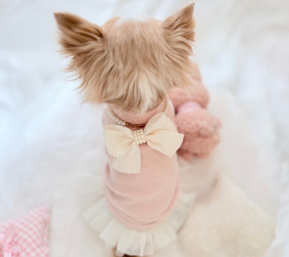 シャカシャカピンクハートネックレス（新作＊バックリボン付き）